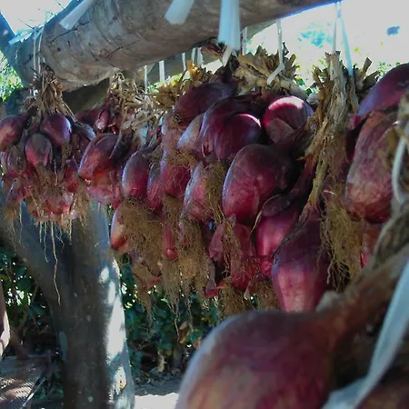 De Luca Апартаменты