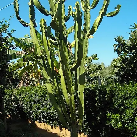 Lejlighed Casa Del Sole - De Luca Torre Marino