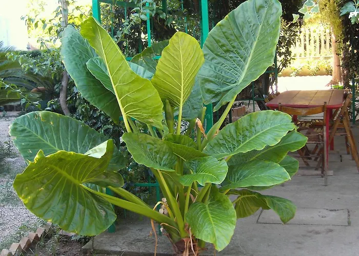 Casa Del Sole - De Luca * Torre Marino