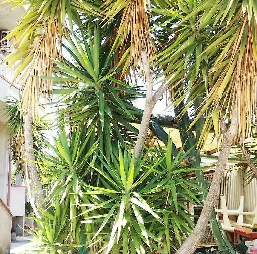 公寓 Casa Del Sole - De Luca *